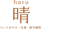 老犬ホーム晴